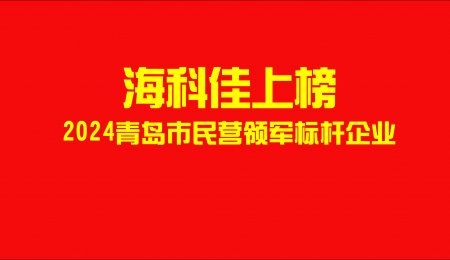 ?？萍焉习?！2024年青島市民營領(lǐng)軍標(biāo)桿企業(yè)